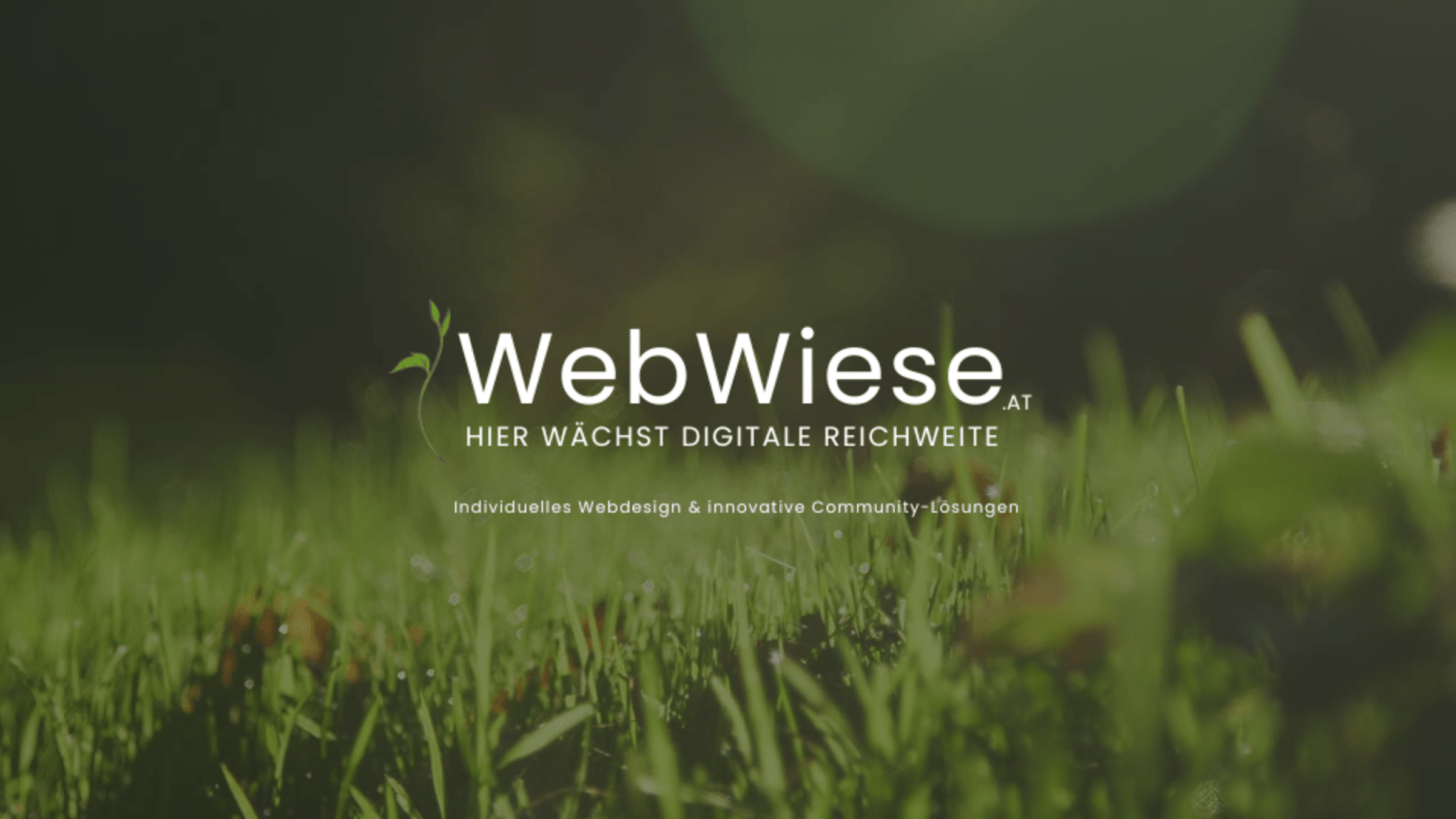WebWiese Header 1 1536x864